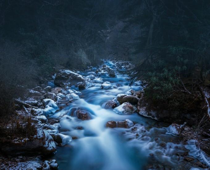 拯救蝙蝠家族